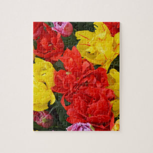 Puzzle Tulipanes de primavera rojos y amarillos