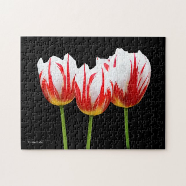 Puzzle Tulipanes elegantes de hojas de arce (Horizontal)