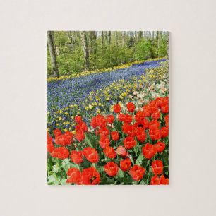 Puzzle Tulipanes en el bosque