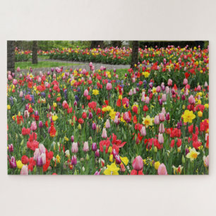 Puzzle Tulipanes en Springtime Garden Path Colorido Grand