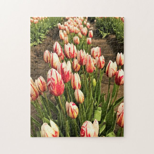 Puzzle Tulipanes Feliz Generación (Vertical)