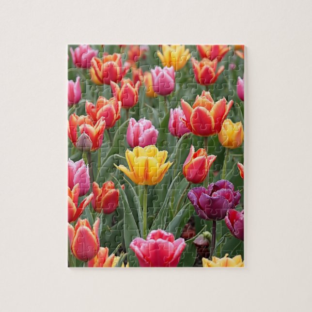 Puzzle Tulipanes holandeses (Vertical)