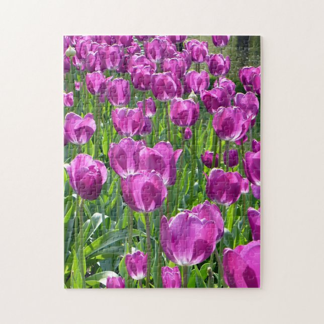 Puzzle Tulipanes morados (Vertical)