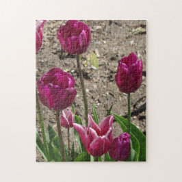 Puzzle Tulipanes morados