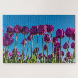 Puzzle Tulipanes morados