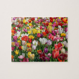 Puzzle Tulipanes multicolores