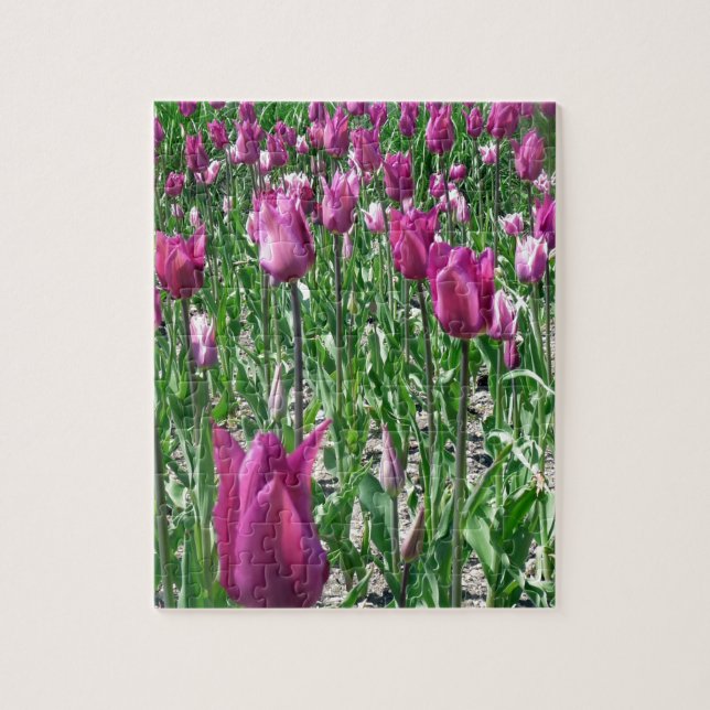 Puzzle Tulipanes púrpura Regal (Vertical)