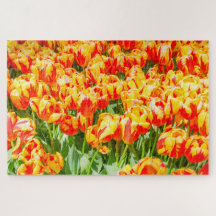 Tulipanes rojo y amarillo