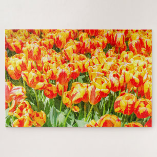 Puzzle Tulipanes rojo y amarillo