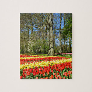 Puzzle Tulipanes rojo y amarillo
