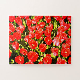 Puzzle Tulipanes rojos