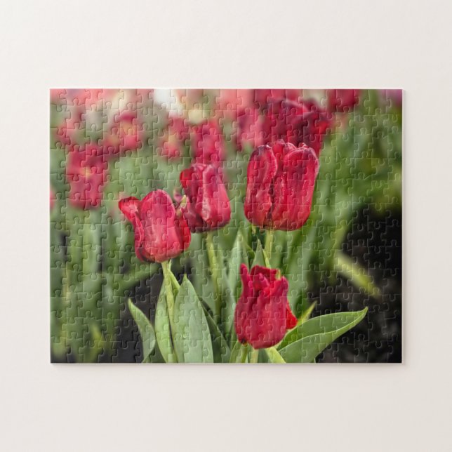 Puzzle Tulipanes Rojos (Horizontal)