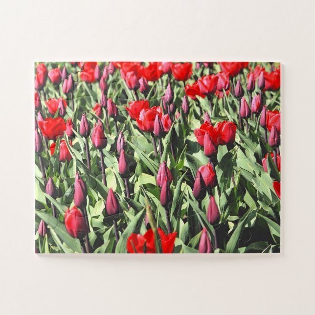 Puzzle Tulipanes rojos 30-pc (Horizontal)