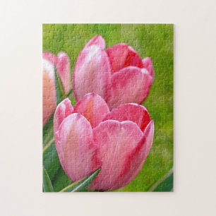 Puzzle Tulipanes rosados