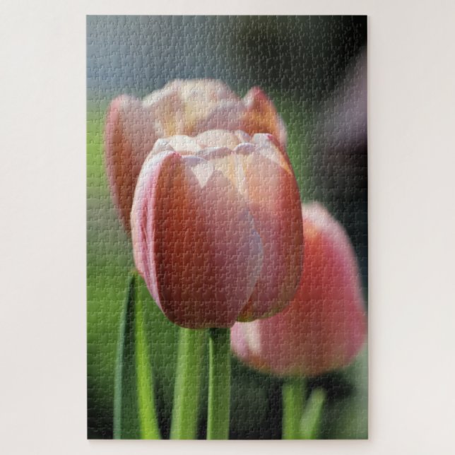 Puzzle Tulipanes rosados (Vertical)