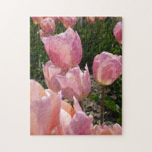 Puzzle Tulipanes rosados
