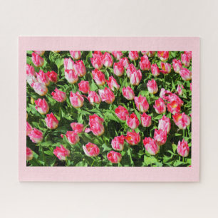 Puzzle Tulipanes rosados