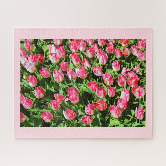 Puzzle Tulipanes rosados (Horizontal)