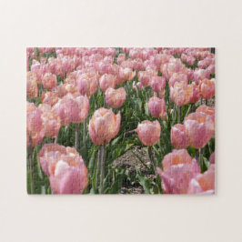 Puzzle Tulipanes rosados ​​besados por el sol