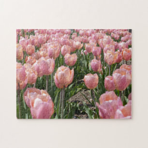 Puzzle Tulipanes rosados ​​besados por el sol