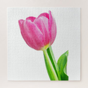 Puzzle Tulipanes rosados sobre blanco