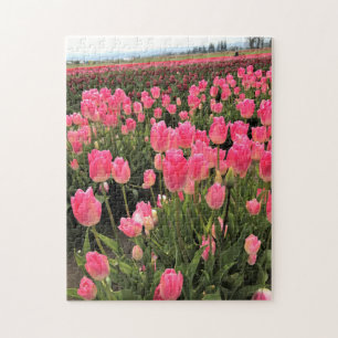 Puzzle Tulipanes rosados y rojos en un campo, Oregón