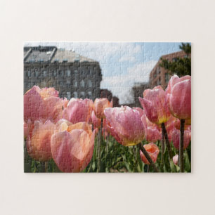 Puzzle Tulipanes rosas en el extremo norte de Boston