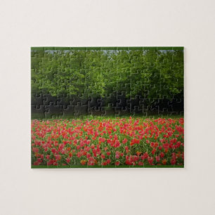 Puzzle Tulipanes y árboles