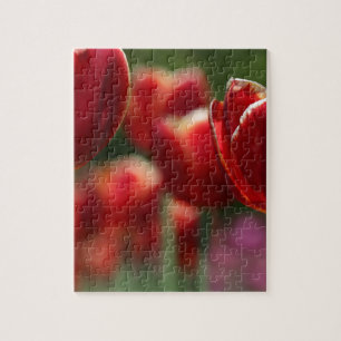 Puzzle Tulipanos
