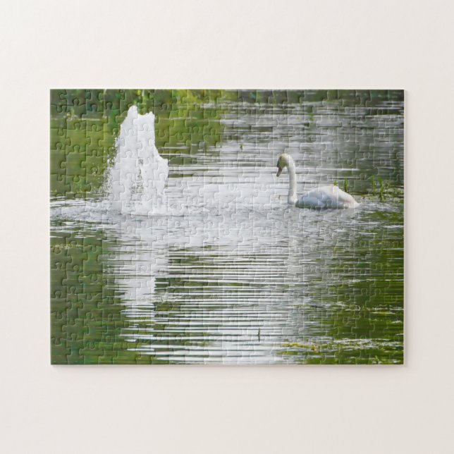 Puzzle Tully, Kildare. Swans en el lago (Horizontal)
