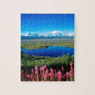 Puzzle Tundra el monte McKinley Denali Alaska de la