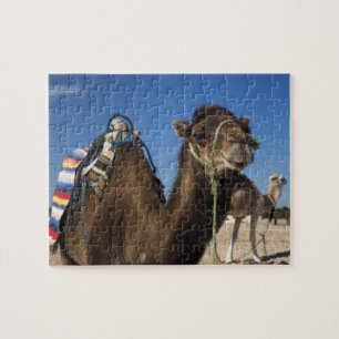 Puzzle Túnez, desierto del Sahara, Douz, Zone Touristique