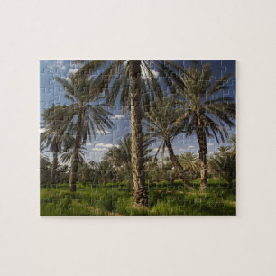 Puzzle Túnez, zona Ksour, Ksar Ghilane, palmera datilera