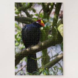 Puzzle Turaco de Lady Ross