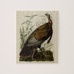 Puzzle Turquía salvaje de Juan Audubon