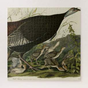 Puzzle Turquía salvaje de las aves estadounidenses de Aud