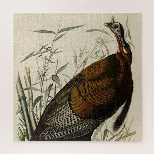 Puzzle Turquía salvaje (macho) de los pájaros de América  (Vertical)