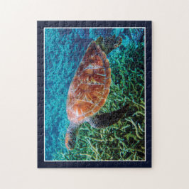 Puzzle Turtle Sea Creature Ocean Wildlife