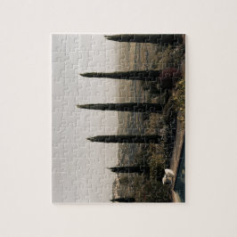 Puzzle Tuscan landscape hidden behind cypresses (2024)
