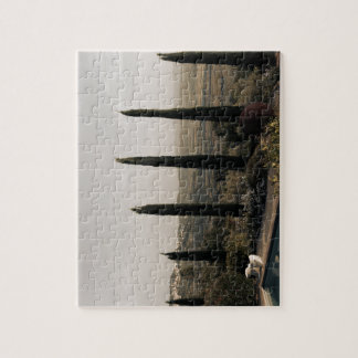 Puzzle Tuscan landscape hidden behind cypresses (2024)