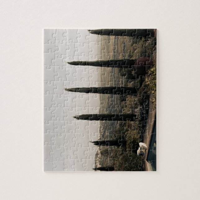 Puzzle Tuscan landscape hidden behind cypresses (2024) (Vertical)