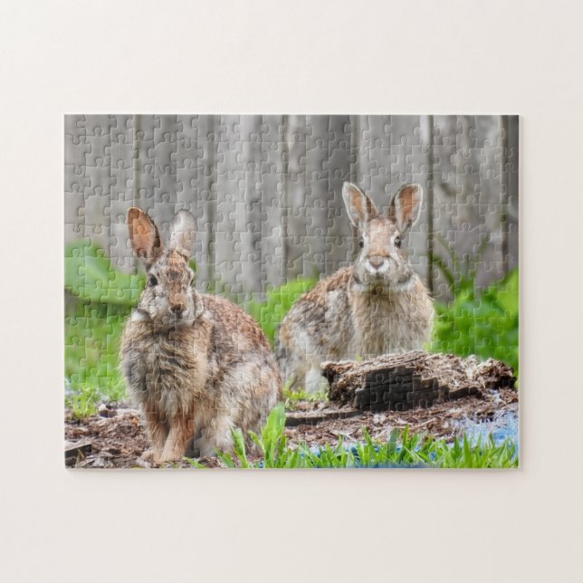 Puzzle Two Bunny Rabbits (Horizontal)