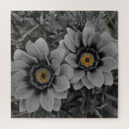 Puzzle Two of a Kind