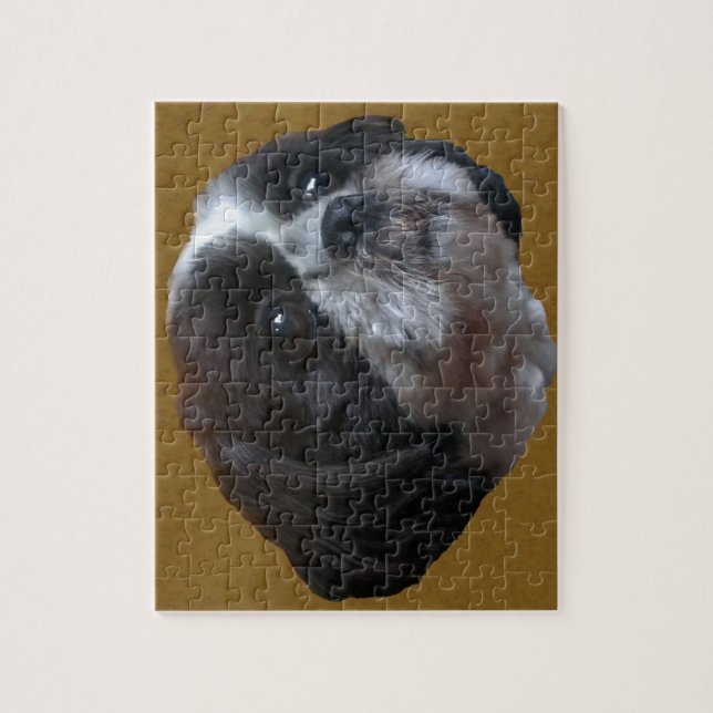 Puzzle Tzu adorable Rico de Shih (Vertical)