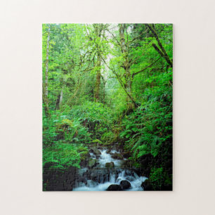 Puzzle Un arroyo en un bosque maduro