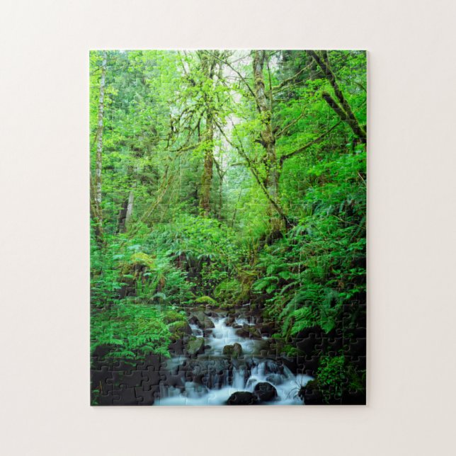 Puzzle Un arroyo en un bosque maduro (Vertical)