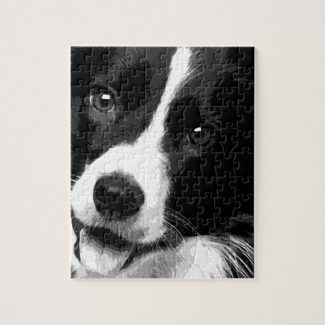 Puzzle Un border collie blanco y negro (Vertical)