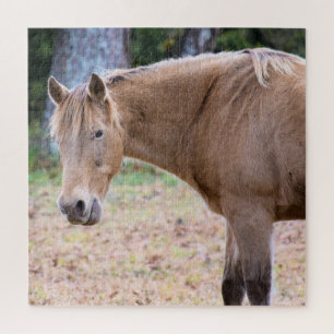 Puzzle Un caballo es un caballo, por supuesto, de 20 x 20