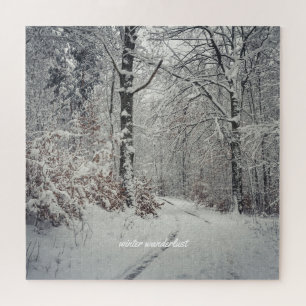 Puzzle Un camino a través del bosque de invierno encantad