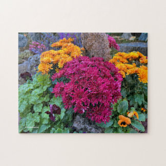 Puzzle Un Colorido Alboroto de Flores de Crisantemo de Ot